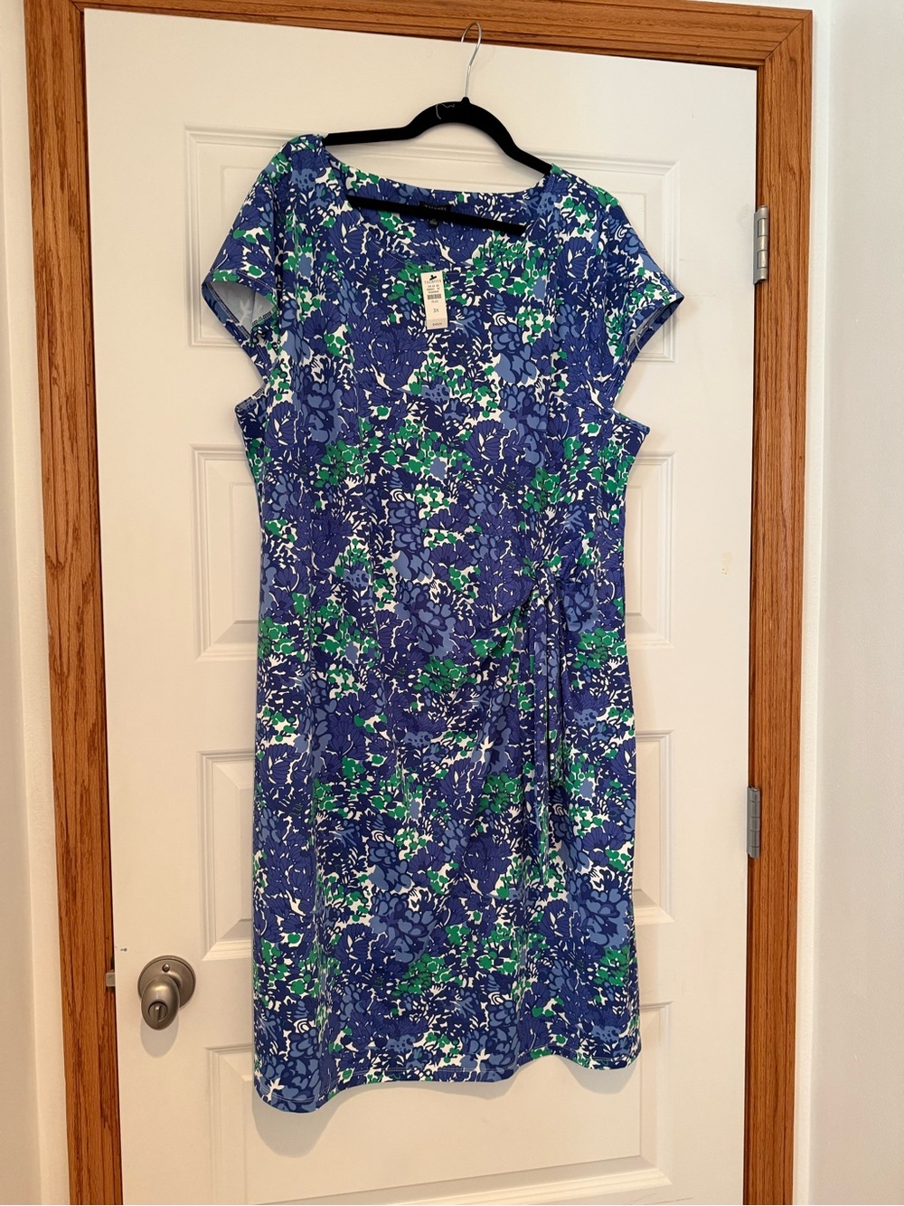 Talbots Blue and Green Floral Cap-Sleeve Dress